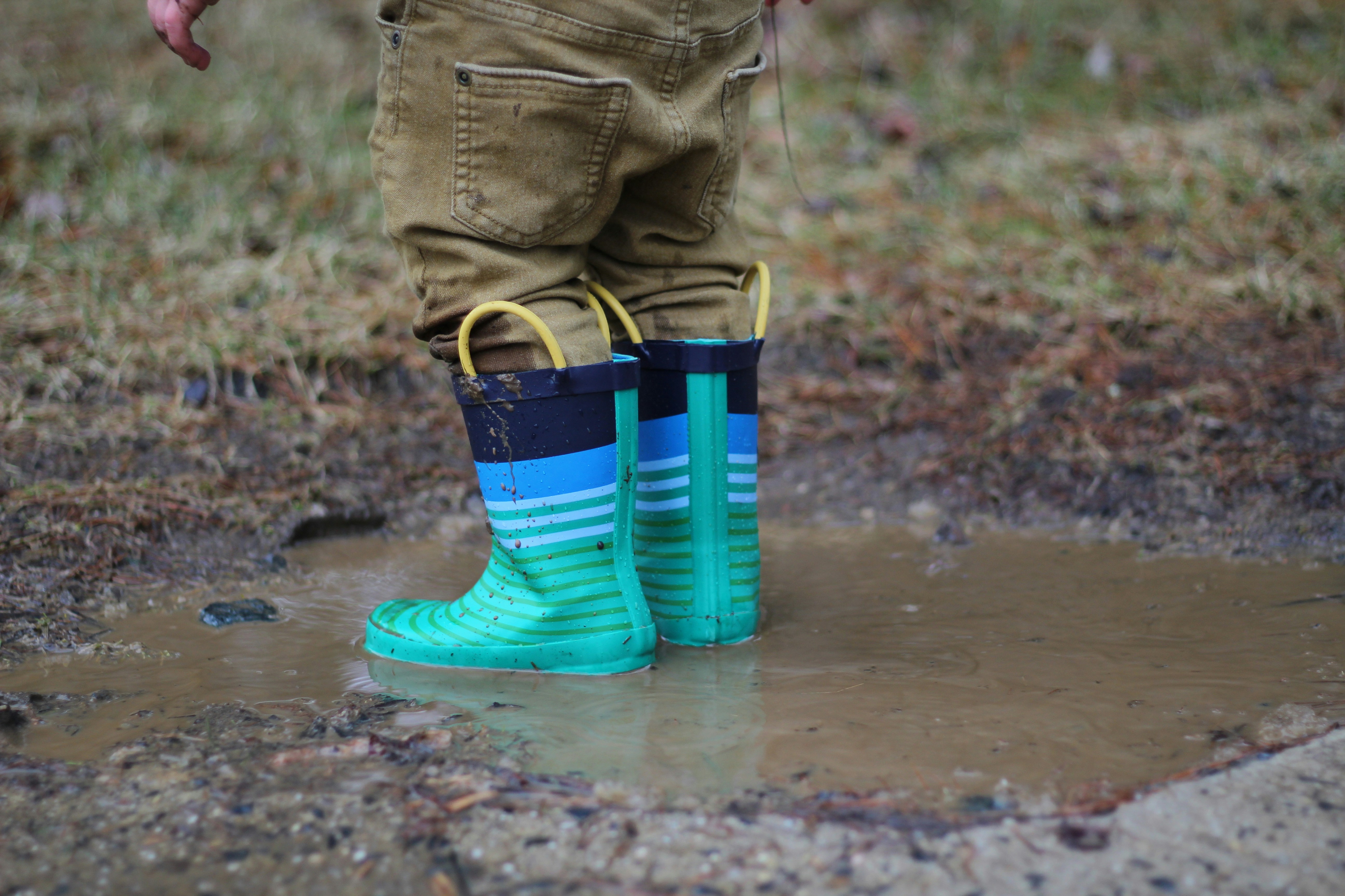 Wellington Boots
